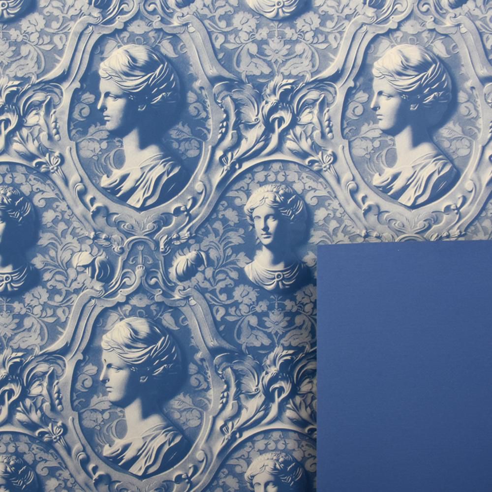 BOBINA PPL C/DAMA 1X25 MT -CAMEO- BLU