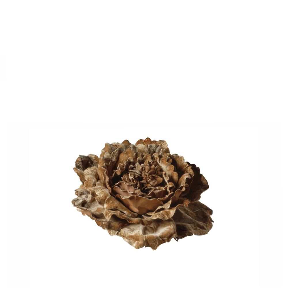 PEONIA TESTA VELLUTO D.38 CM H.115 CM BEIGE