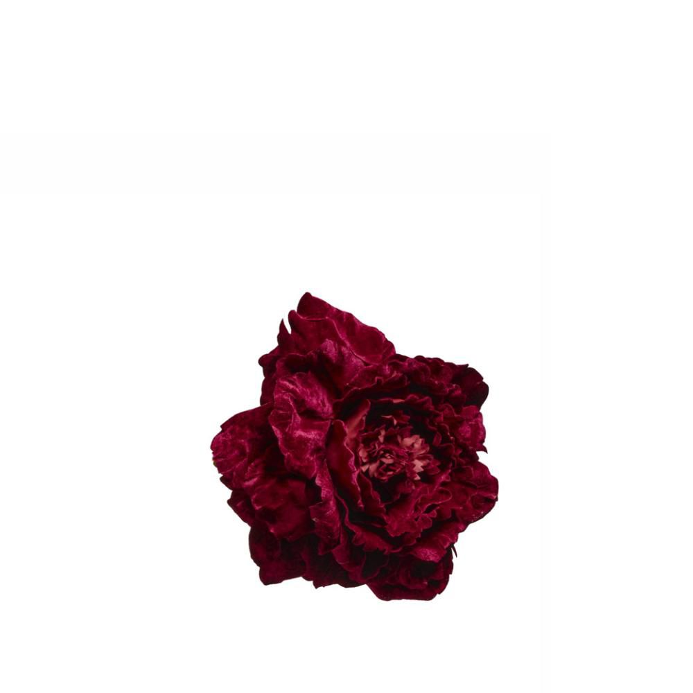PEONIA TESTA VELLUTO D.38 CM H.115 CM BURGUNDY