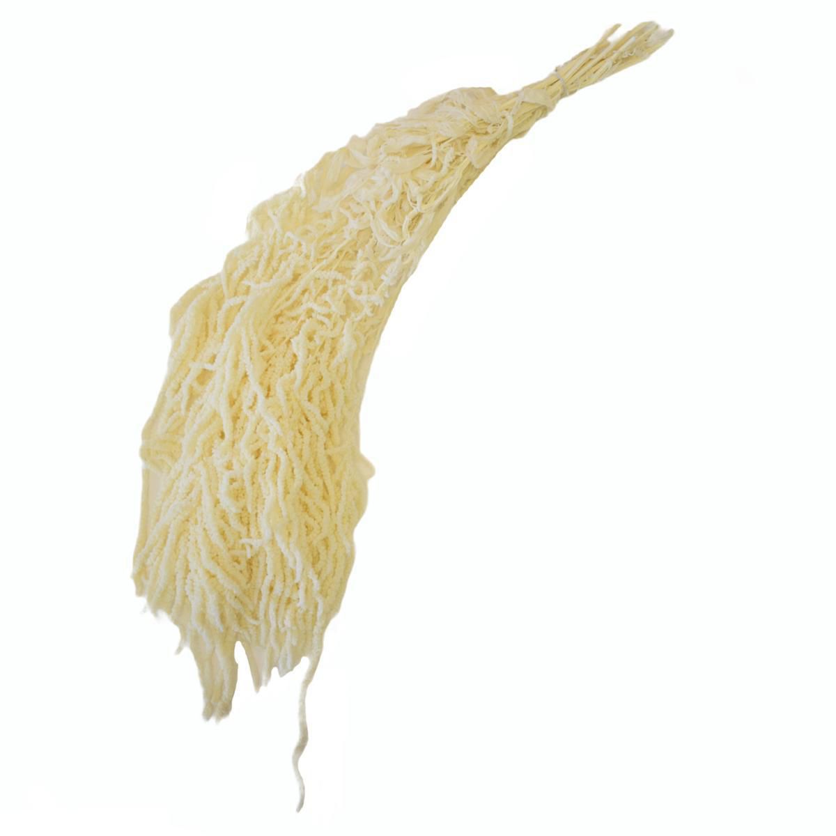 AMARANTHUS CAUD. GR.150CM.70 BIANCO 01