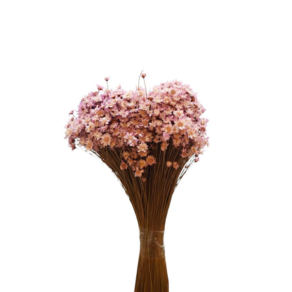 GLIXIA BREJEIRA GR.100 CM.50 WARM GRAU 105