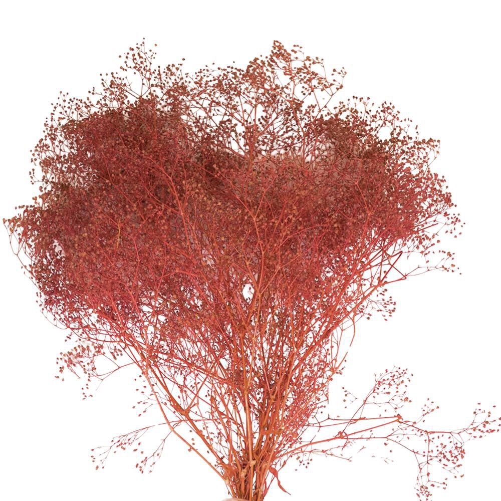 MINI GYPSOPHILA SACCHETTO GR.50 LAMPONE 127/P