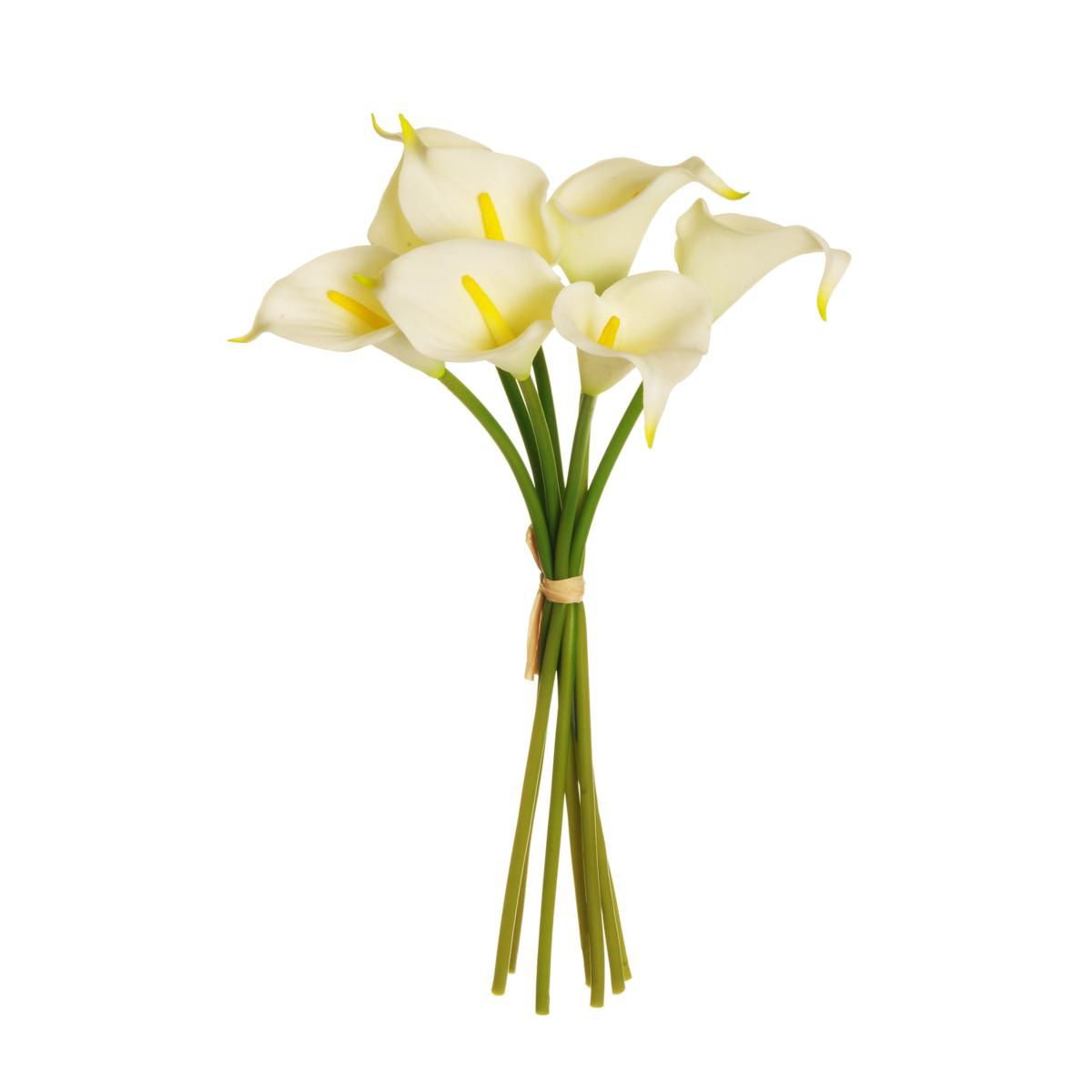CALLA MINI BUSH 7X H.34CM -LILY- CREMA