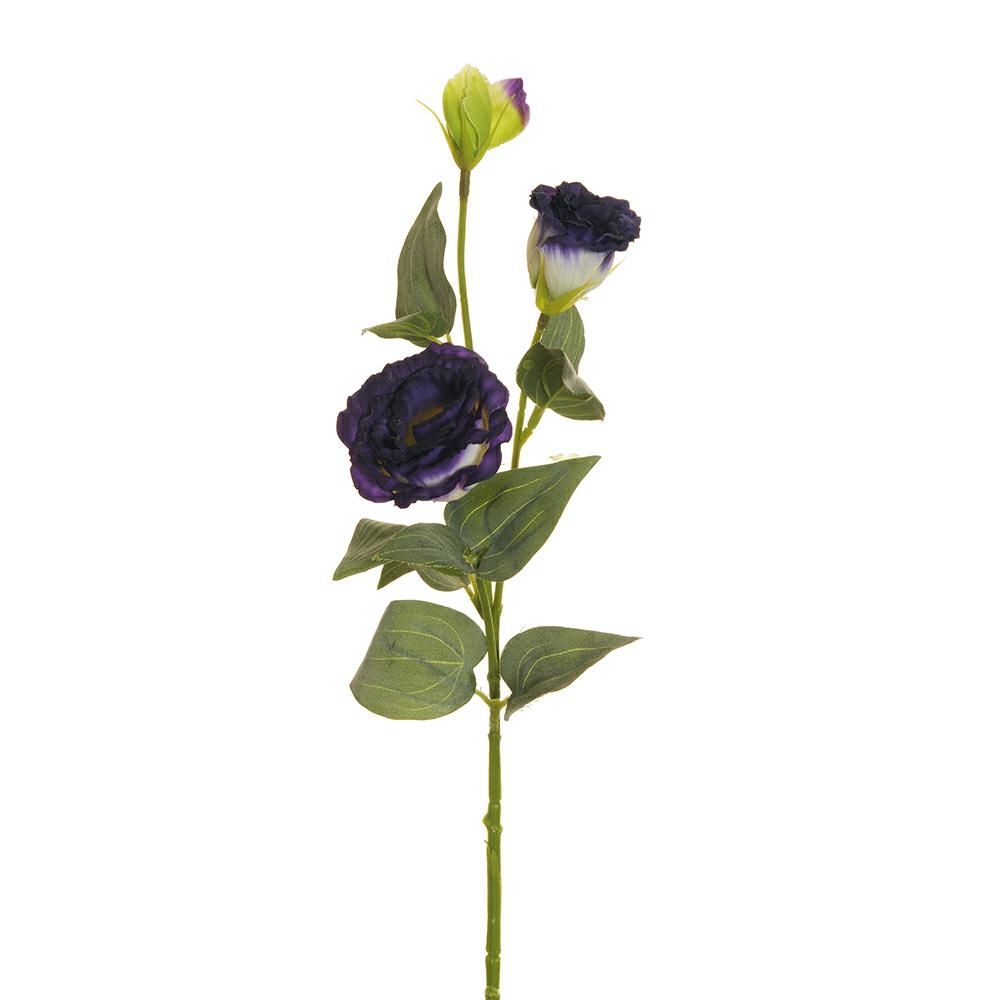 LISIANTHUS SPRAY 2F 1B CM.71 VIOLA