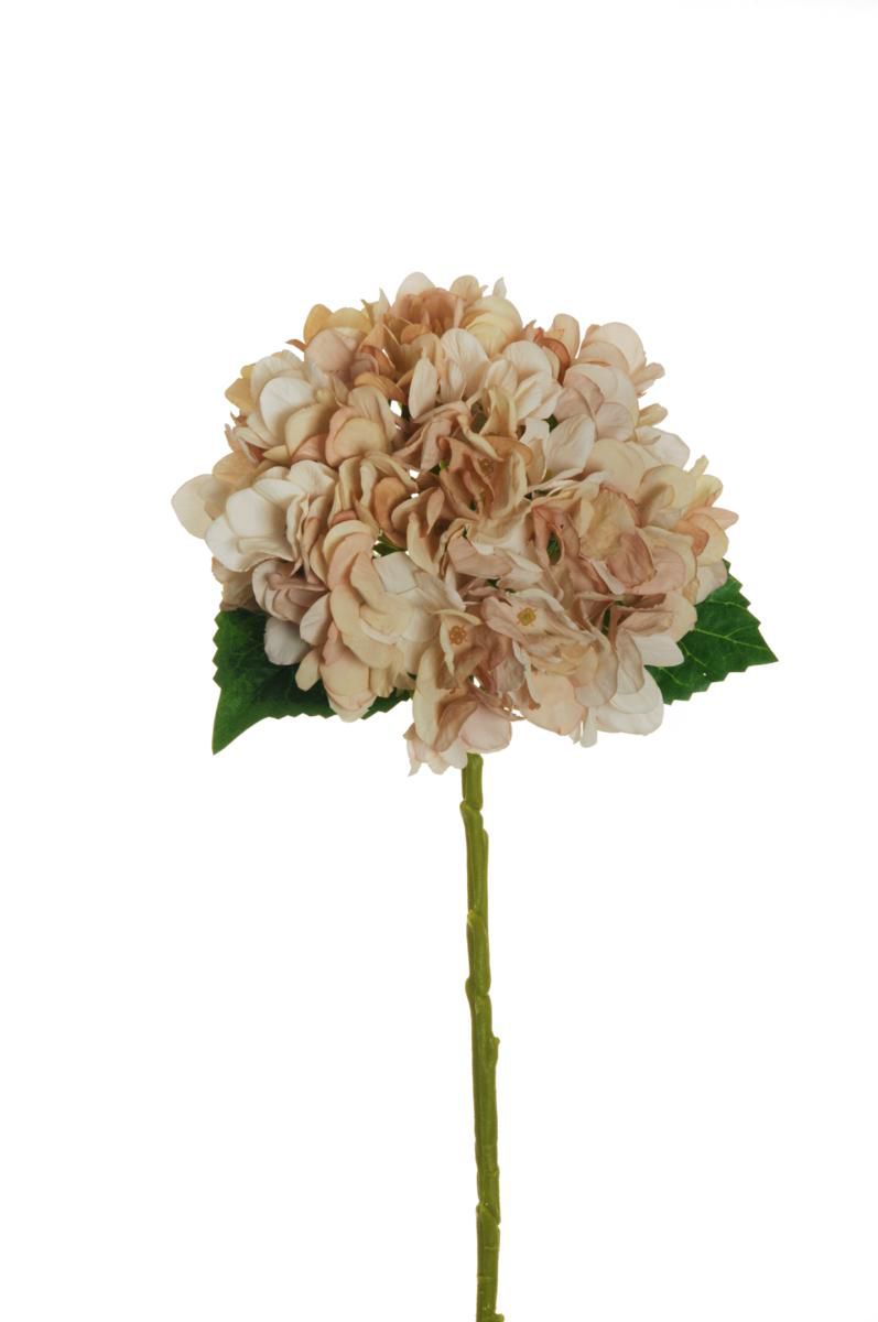 HYDRANGEA SPRAY 3F CM.50 CREMA/MARRONE CHIARO