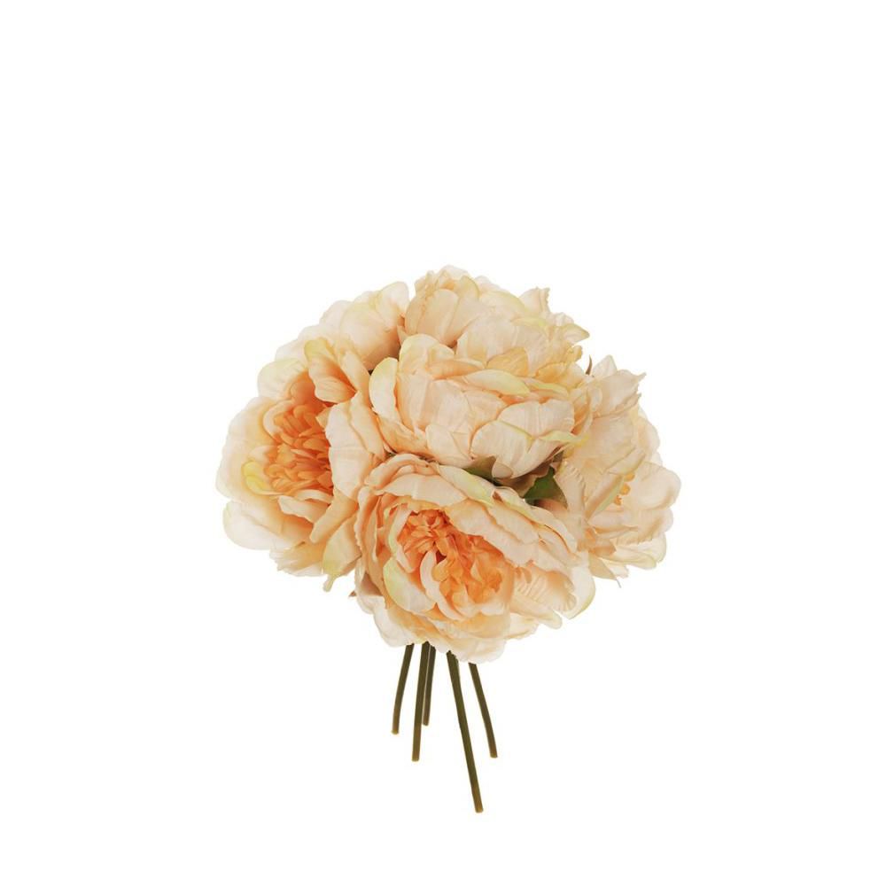 PEONIA BOUQUET 6F CM.29AVORIO