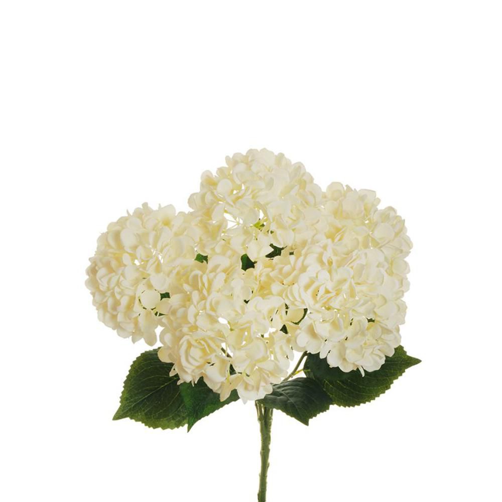 HYDRANGEA BOUQUET 5X CM.50 -JULIET- CREMA HYDRANGEA BOUQUET 5X CM.50 -JULIET- CREMA