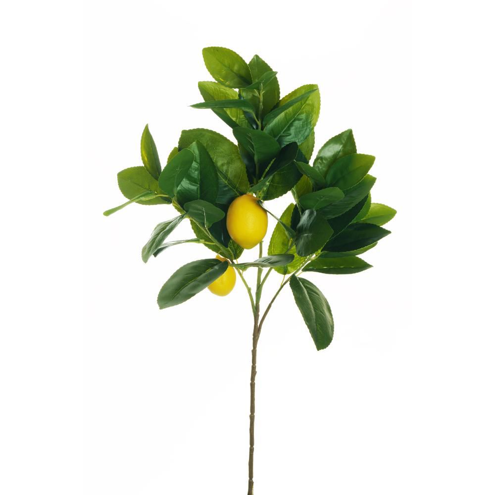 LIMONE RAMO C/2 FRUTTI CM.65,5 VERDE/GIALLO