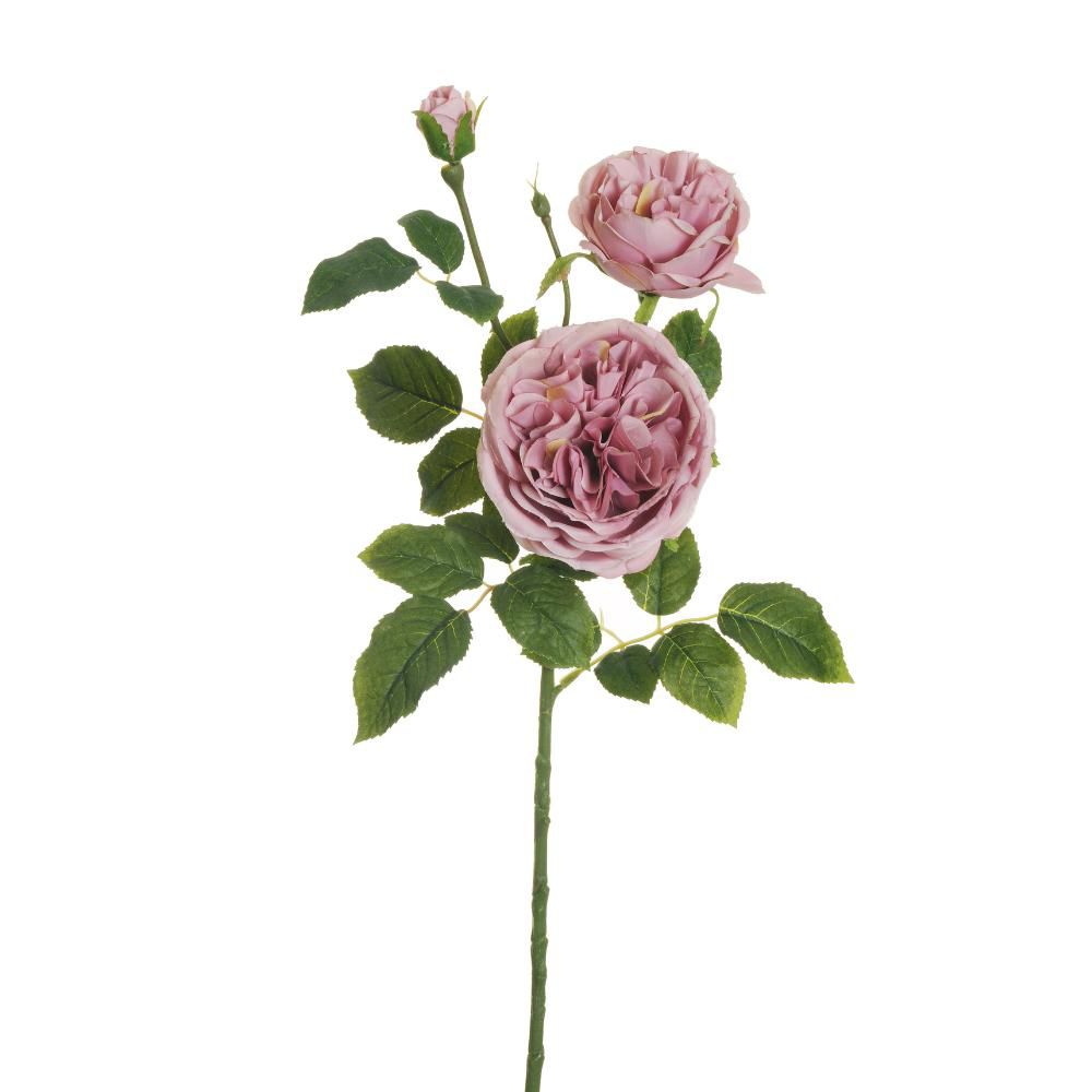 ROSA AUSTIN SPRAY 3X 2F1B CM.77 MALVA