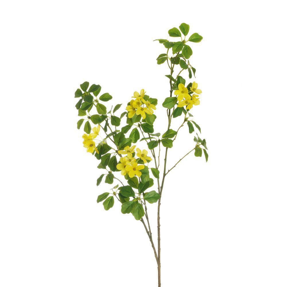 OXALIS SPRAY REAL TOUCHCM.107 GIALLO/VERDE