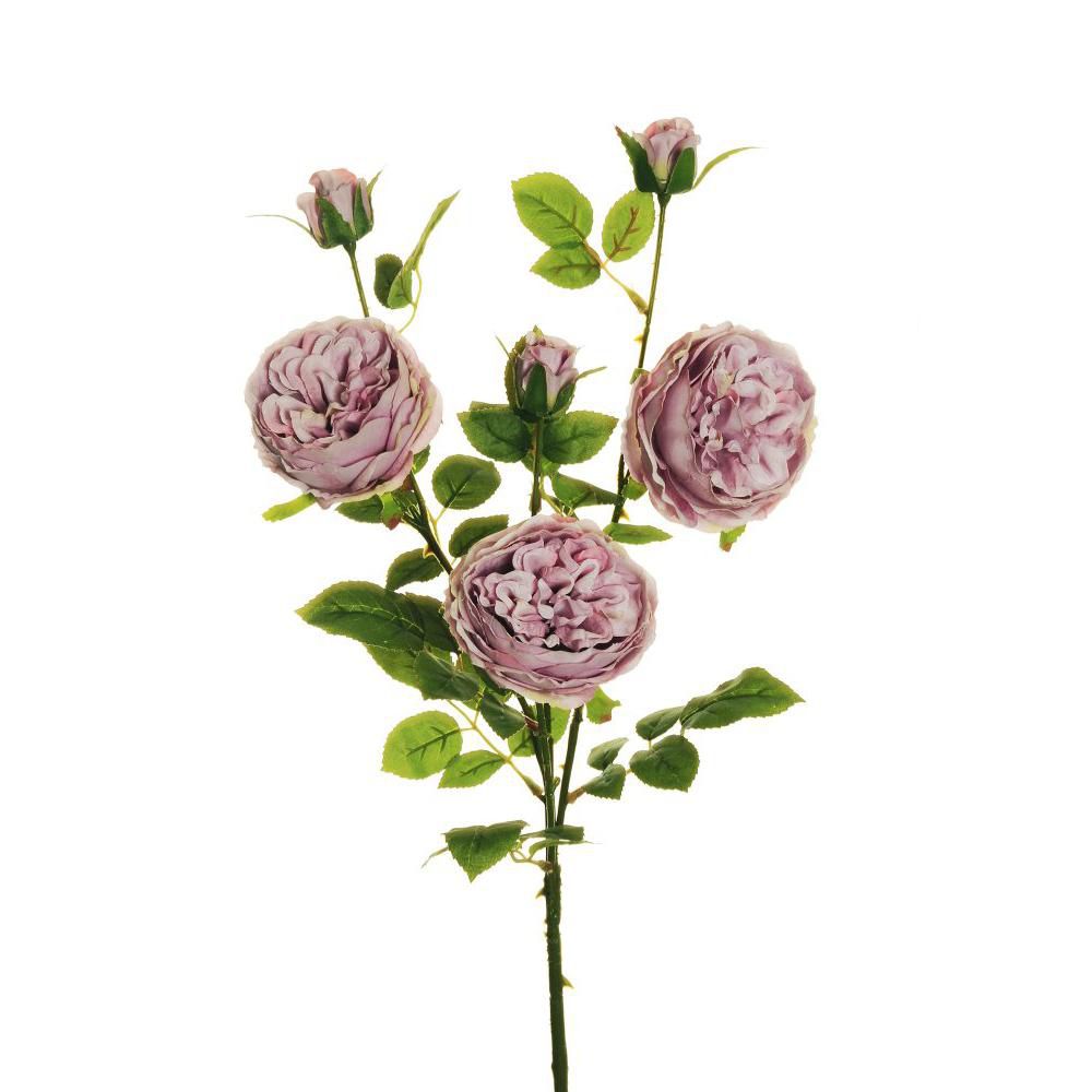 ROSA AUSTIN SPRAY 3X CM.66,5 LILLA