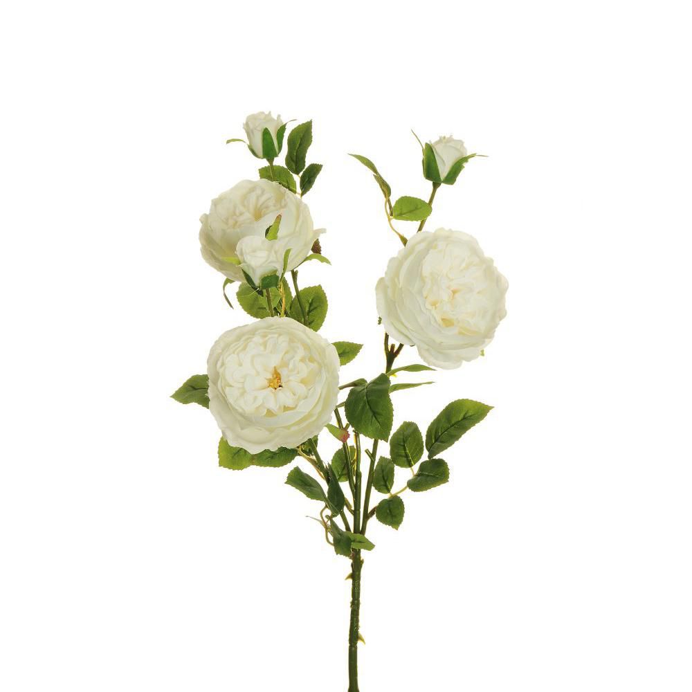 ROSA AUSTIN SPRAY 3X CM.66,5 BIANCO