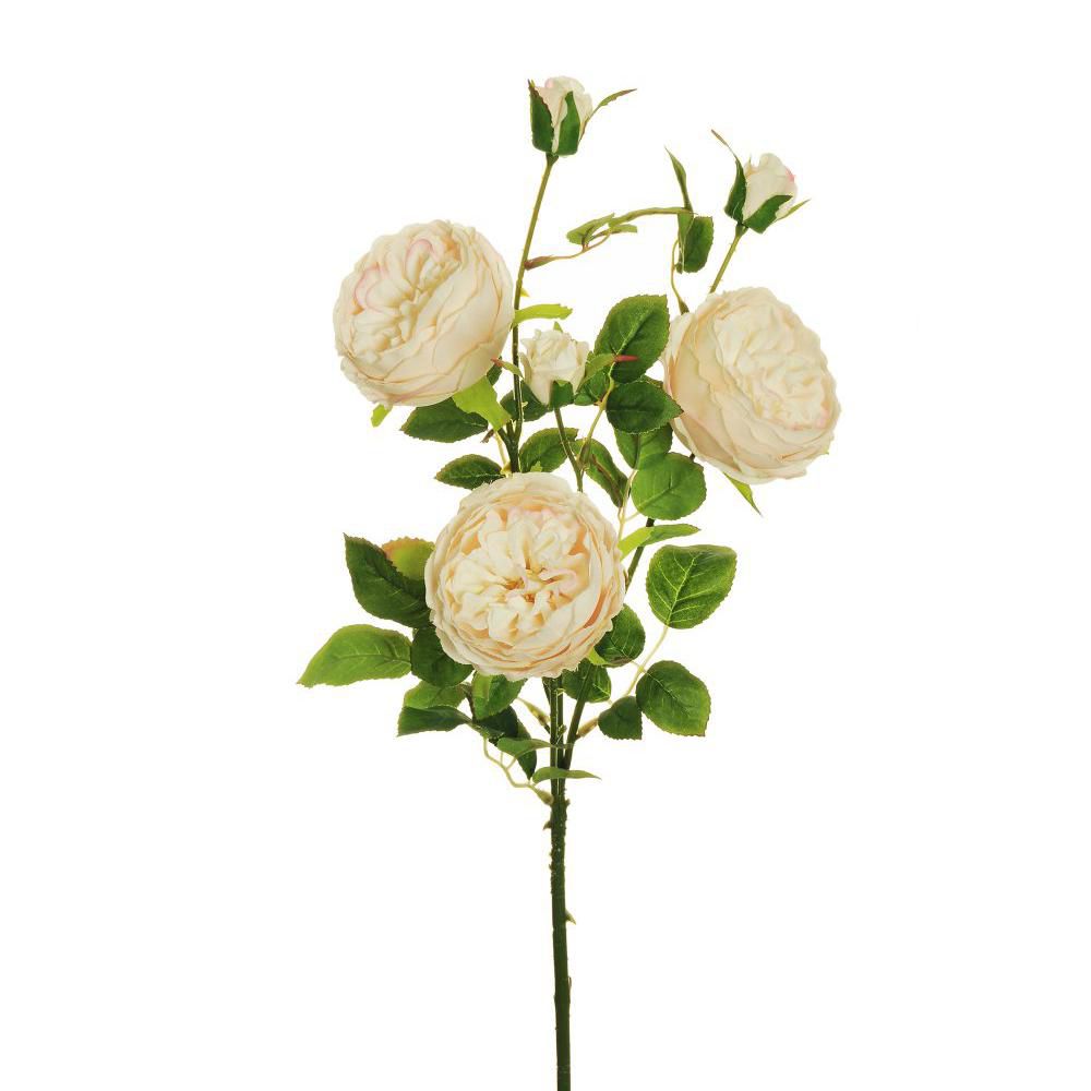 ROSA AUSTIN SPRAY 3X CM.66,5 SALMONE CHIARO