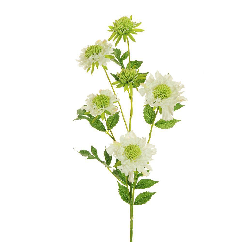 SCABIOSA SPRAY 4X CM.76BIANCO