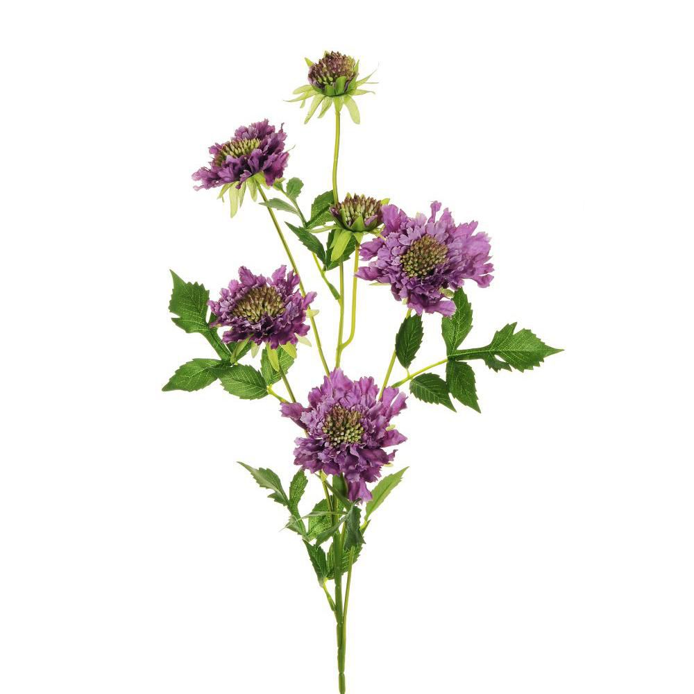 SCABIOSA SPRAY 4X CM.76PURPLE