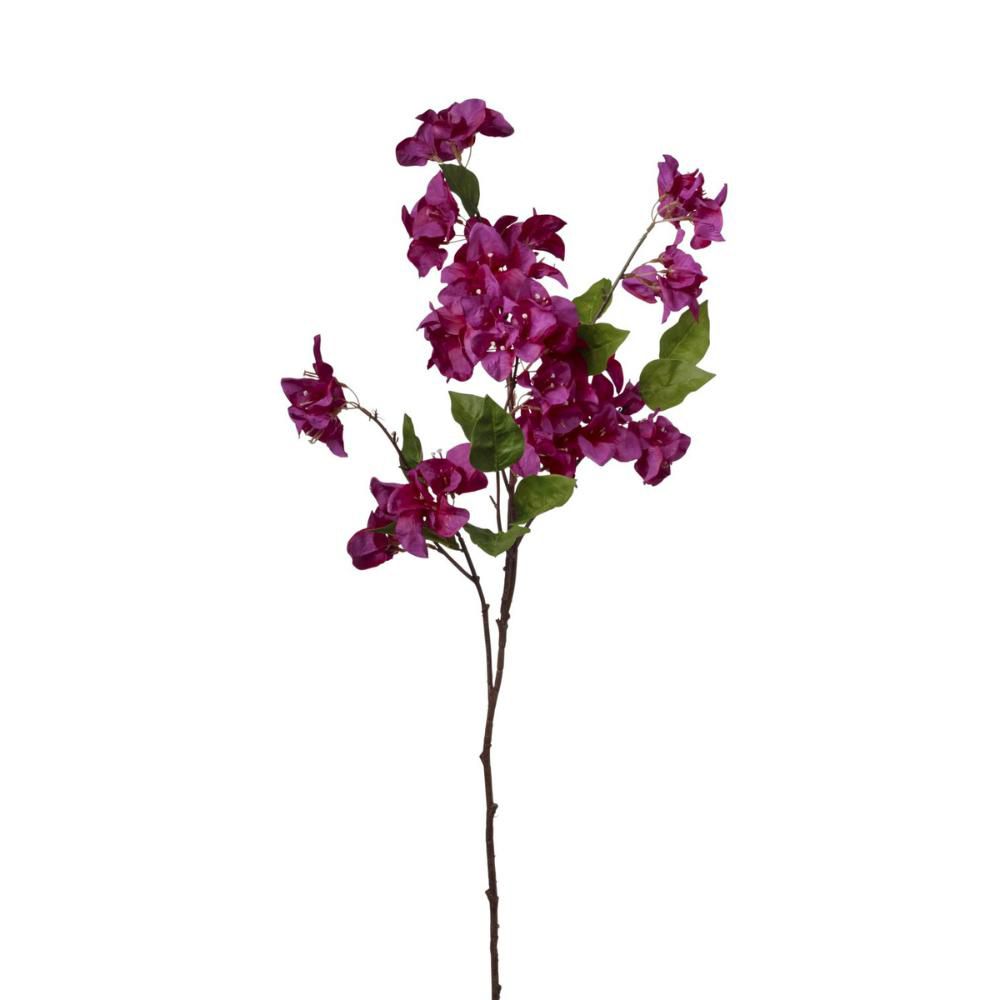 BOUGANVILLEA RAMO CM.105 BEAUTY