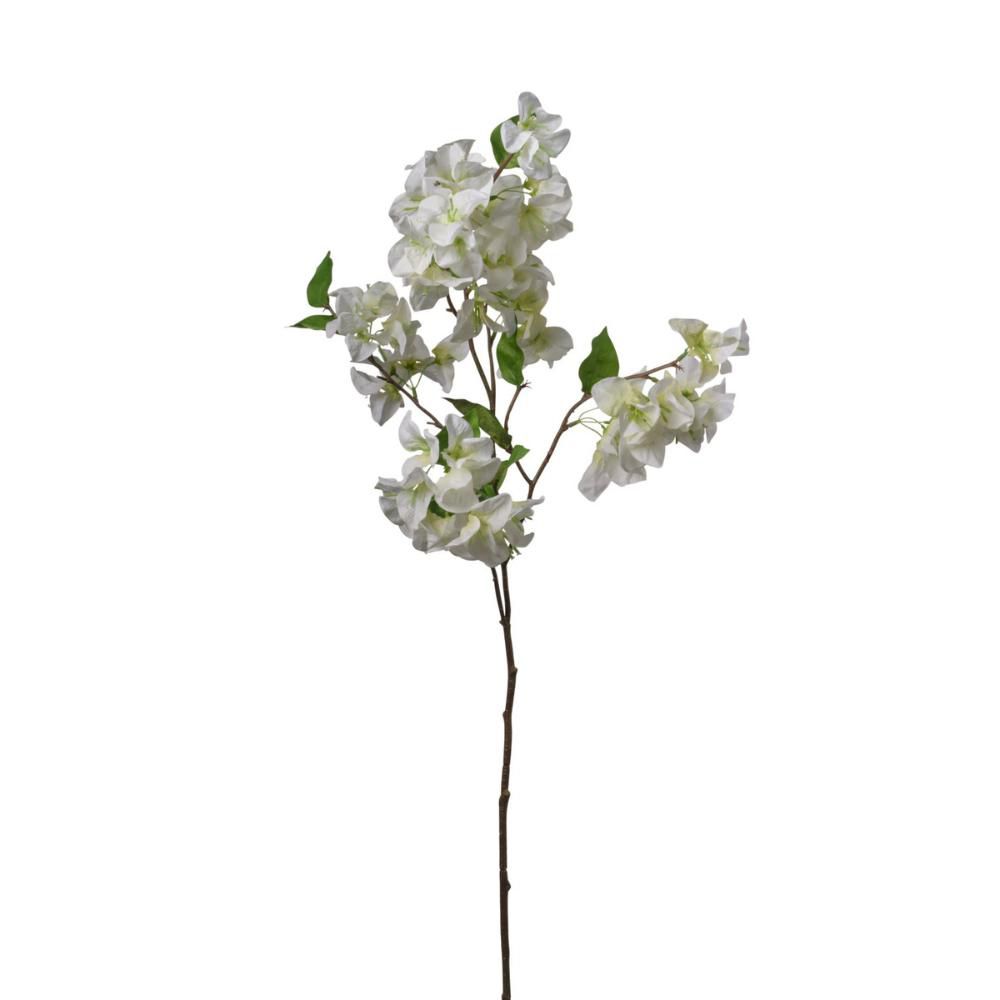 BOUGANVILLEA RAMO CM.105 BIANCO/PURPLE BOUGANVILLEA RAMO CM.105 BIANCO/PURPLE