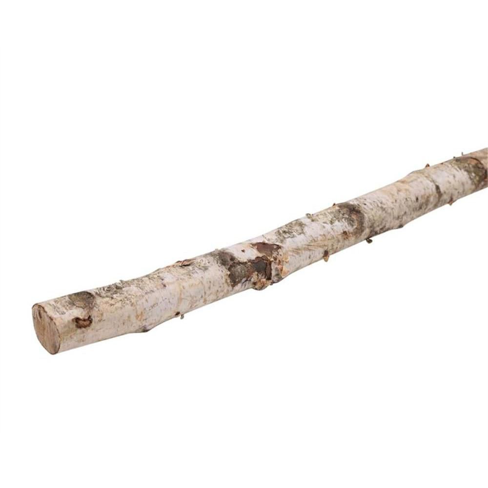 BETULLA TRONCO D.6/8 CMH.2 MT NATURALE