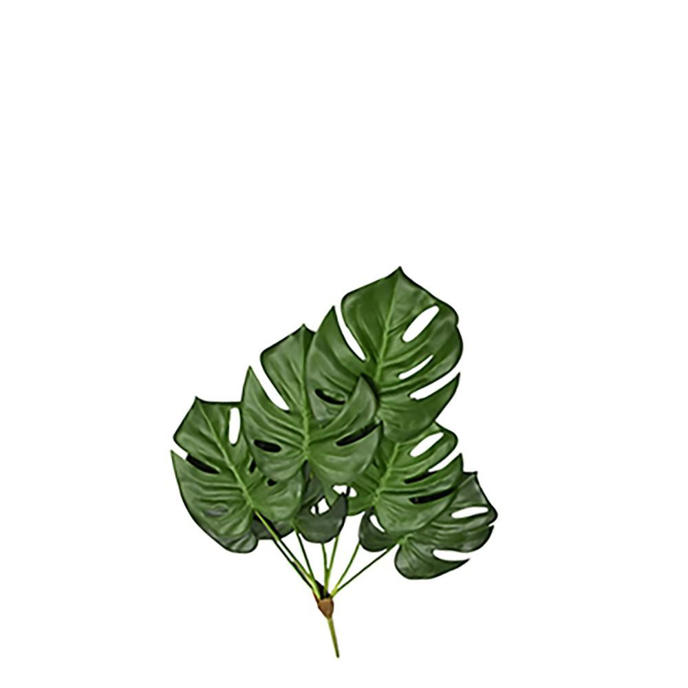 PHILODENDRO MONSTERA BUSH RICADENTE 7X 70 CM VERDE