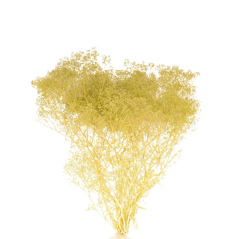 MINI GYPSOPHILA SACCHETTO GR.50 ICE GREEN 201/P