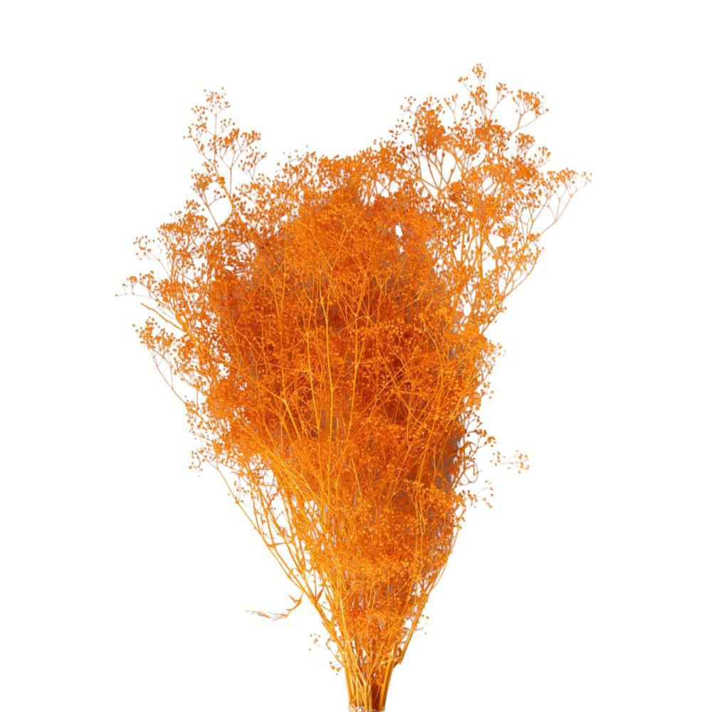 MINI GYPSOPHILA SACCHETTO GR.50 COGNAC 11/P