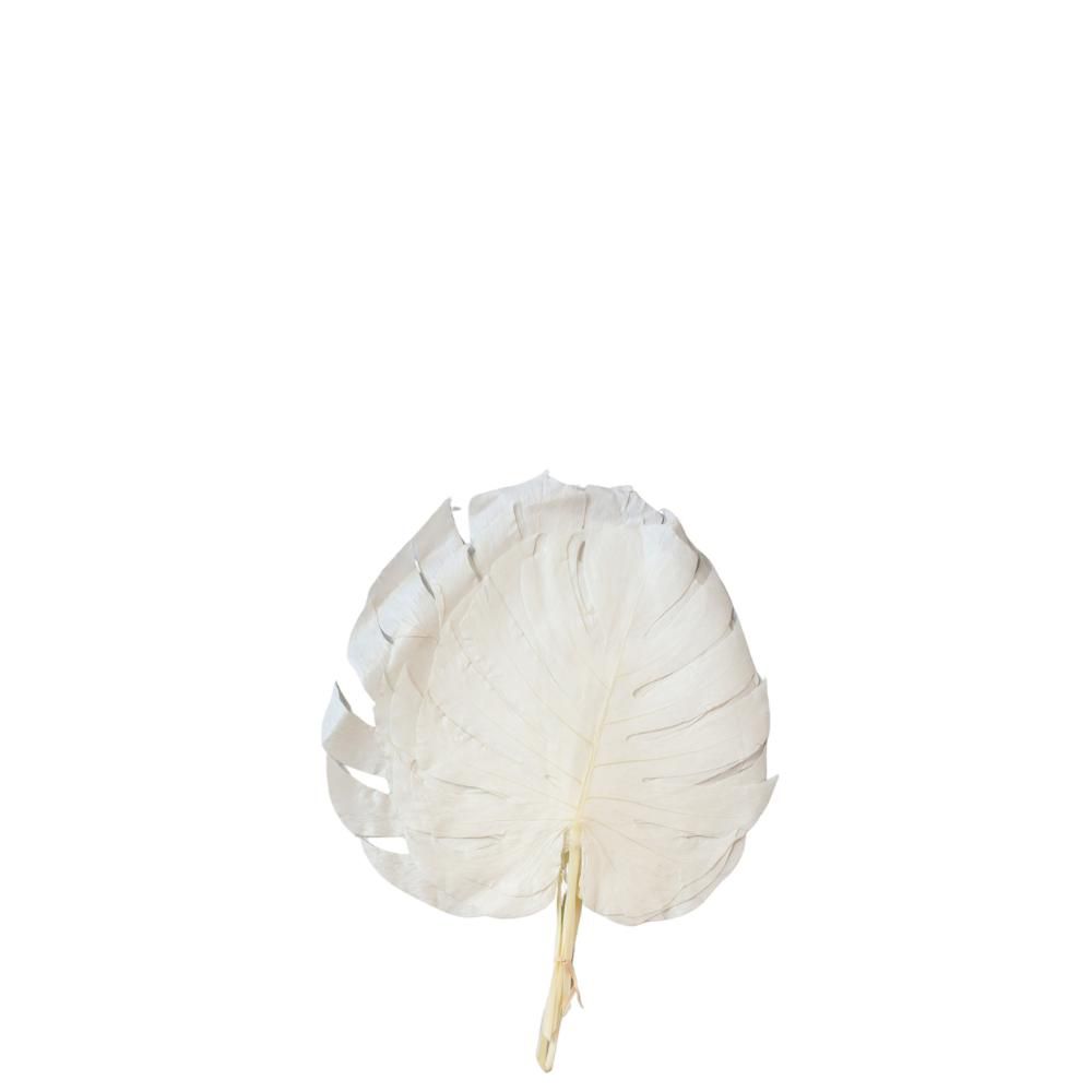 MONSTERA FOGLIE PZ.5 BIANCO/01