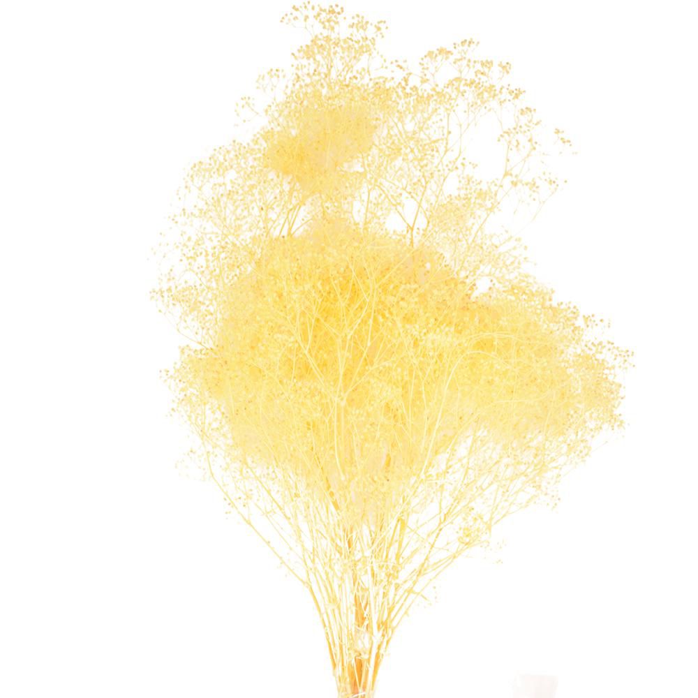 MINI GYPSOPHILA SACCHETTO GR.50 VANIGLIA 116/P