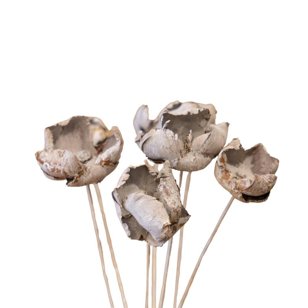 FRUTTI DI PALMA GAMBATIPZ.10 BIANCO WASHED FRUTTI DI PALMA GAMBATIPZ.10 BIANCO WASHED