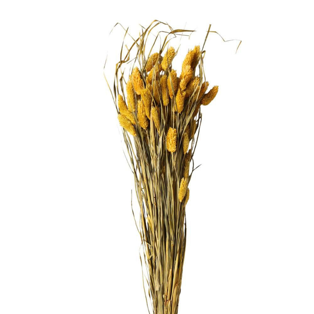 POA OL MZ.1 GIALLO ORO/03