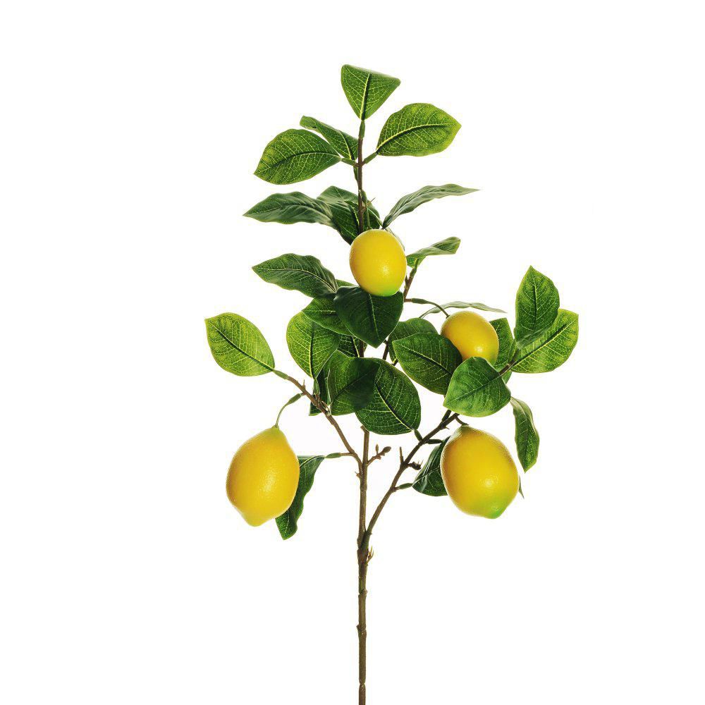 LIMONE RAMO C/4 FRUTTI REAL TOUCH CM.86 VERDE/GIALLO