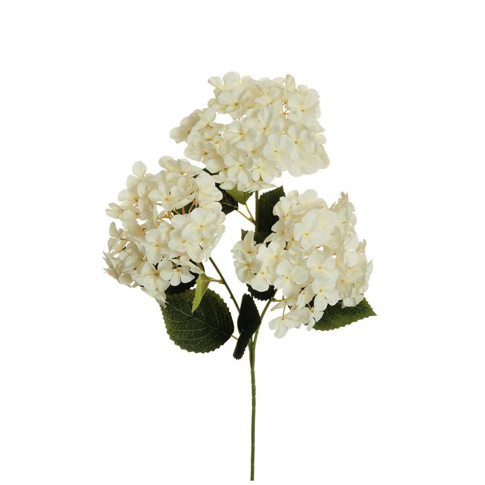 HYDRANGEA 3D ARBORESCENS 3X CM.70 CREMA