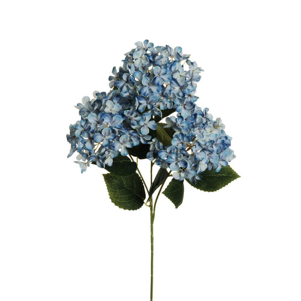 HYDRANGEA 3D ARBORESCENS 3X CM.70 BLU