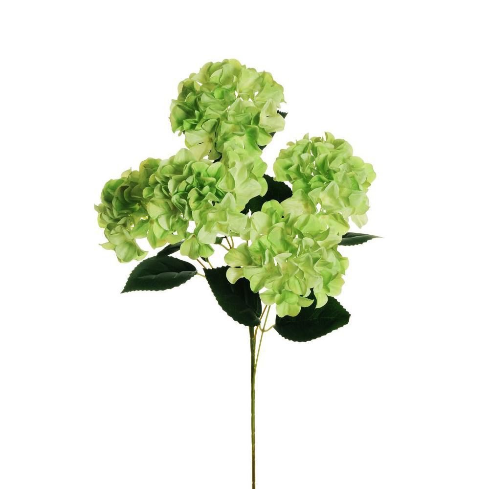 HYDRANGEA 3D ARBORESCENS 5X CM.70 VERDE