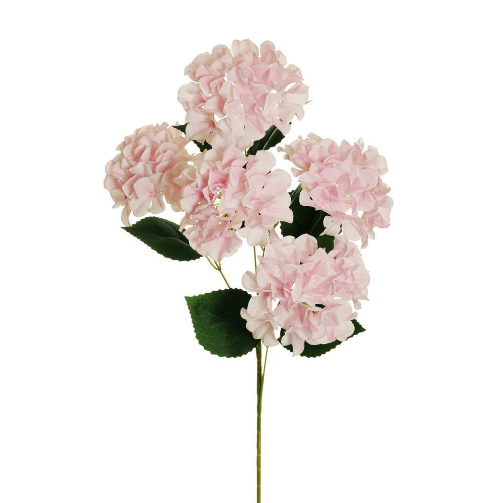 HYDRANGEA 3D ARBORESCENS 5X CM.70 ROSA CHIARO