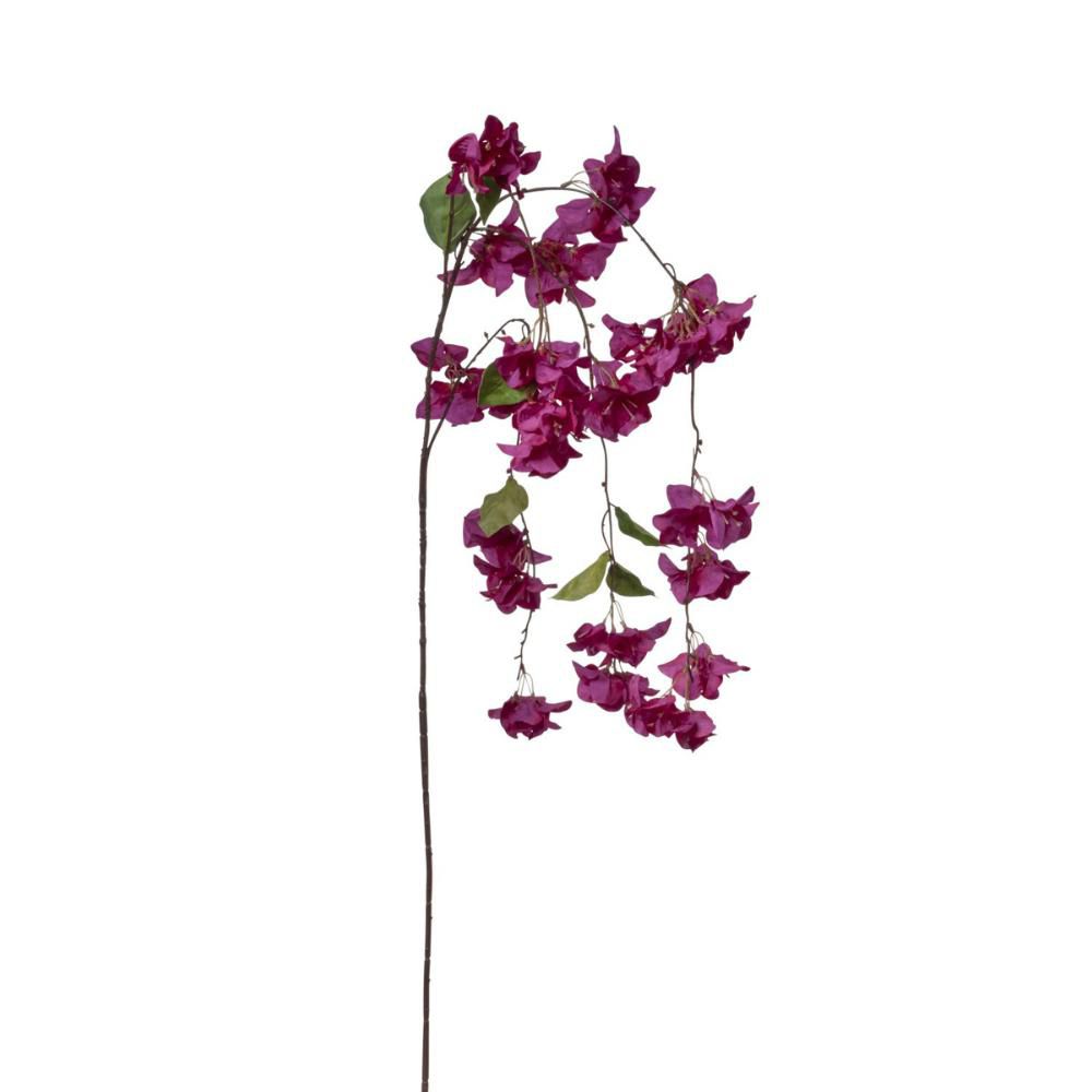 BOUGANVILLEA RAMO CM.150 BEAUTY