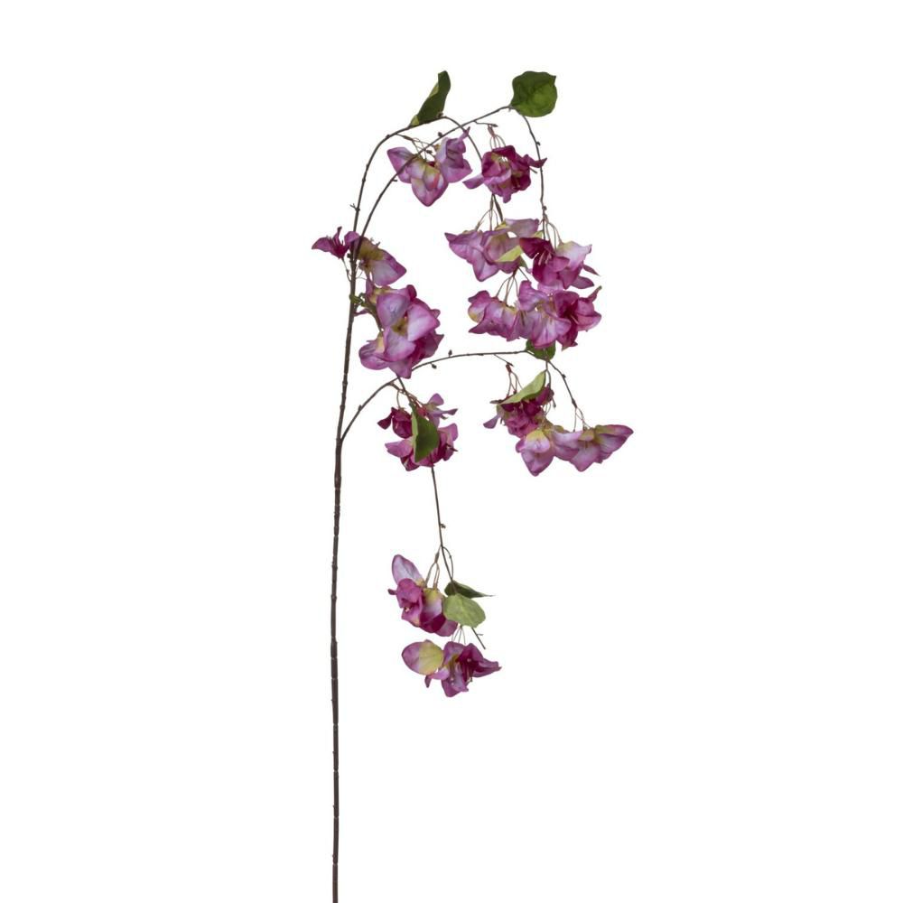 BOUGANVILLEA RAMO CM.150 BIANCO/PURPLE