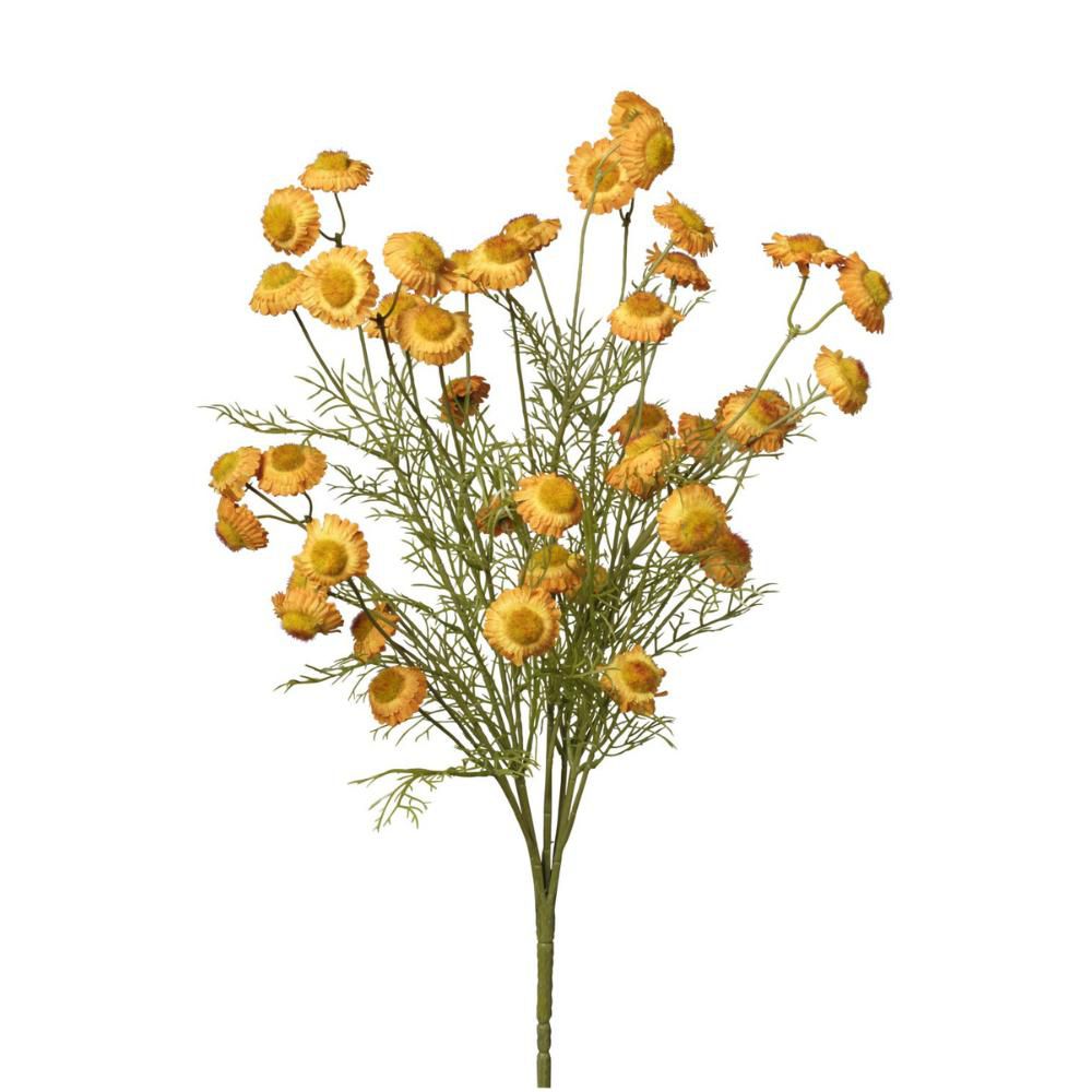 CAMOMILLA BOUQUET CM.50GIALLO