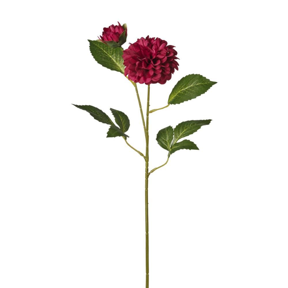 ZINNIA RAMO 2X CM.63 ROSSO