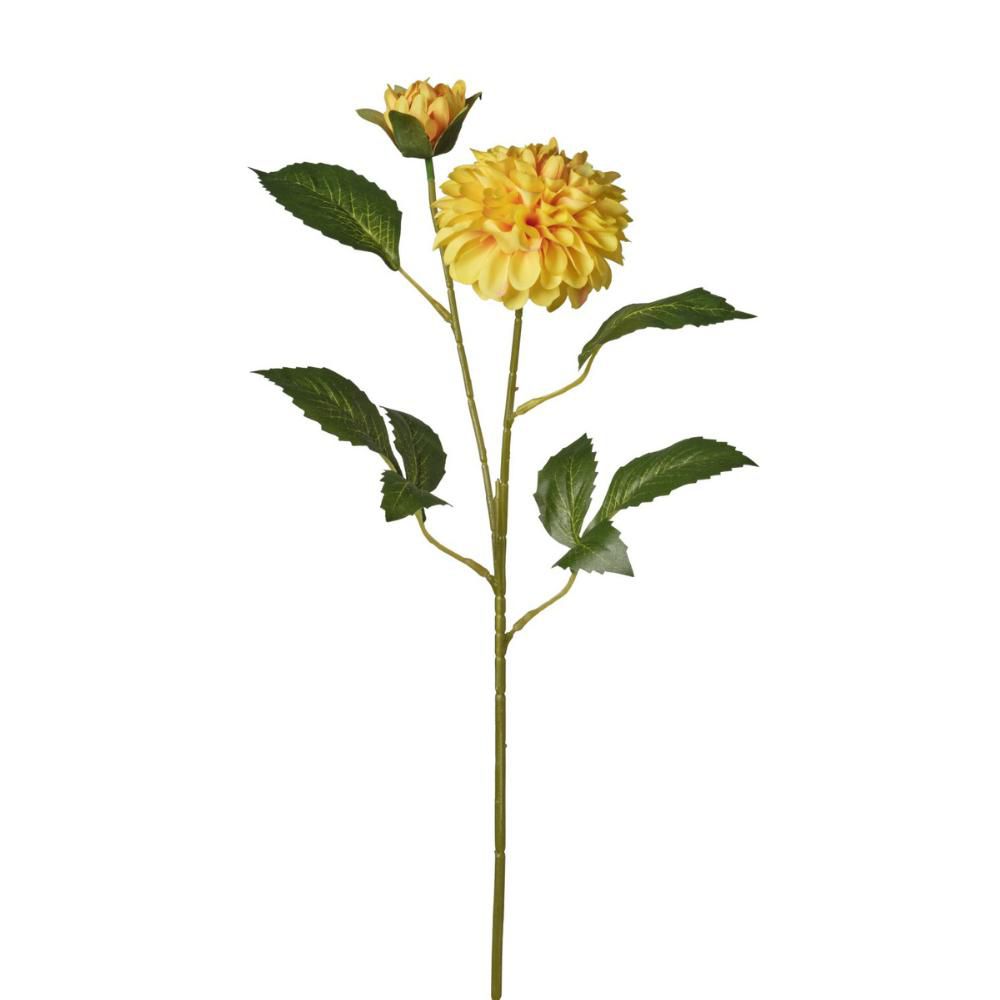 ZINNIA RAMO 2X CM.63 GIALLO