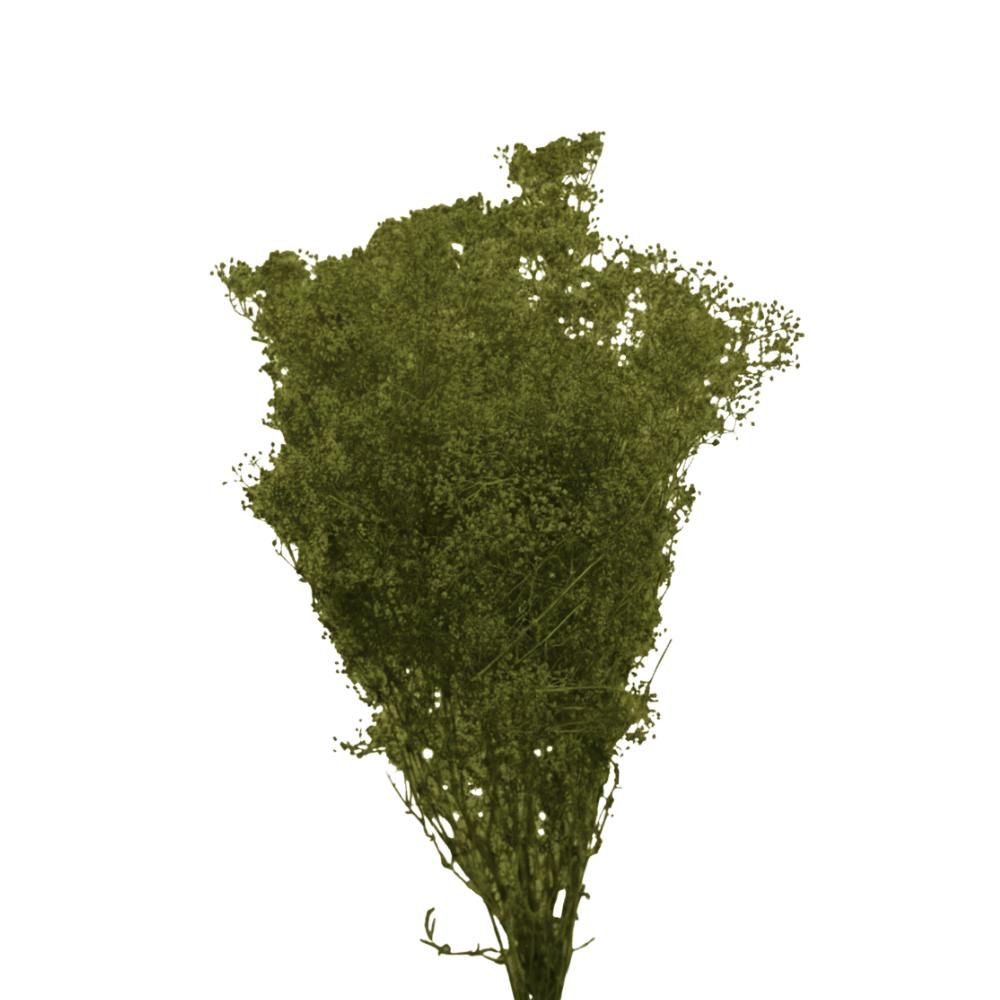 MINI GYPSOPHILA SACCHETTO GR.50 VERDE OLIVA 26/P