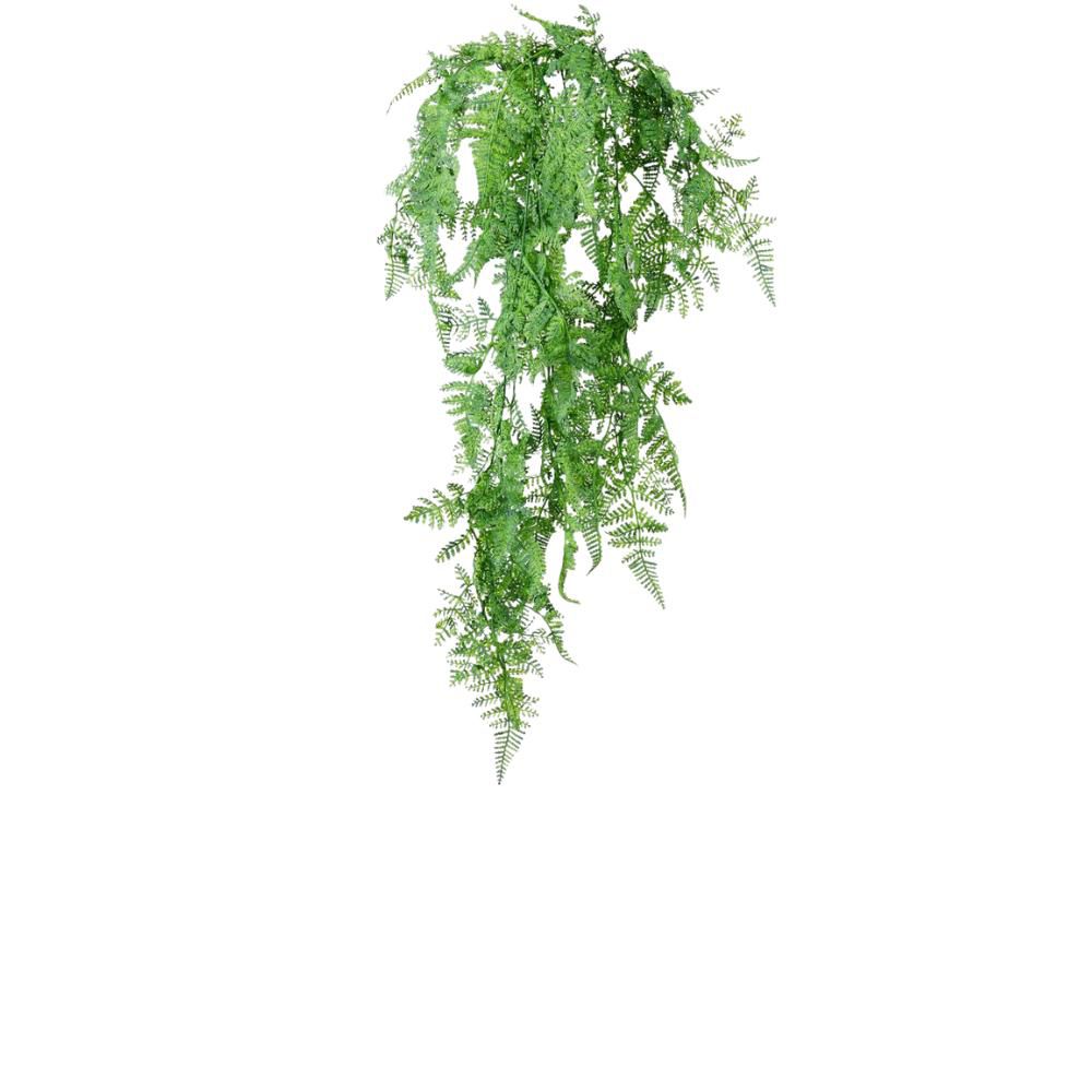 ALCICORNO BUSH CADENTE CM.80 VERDE ALCICORNO BUSH CADENTE CM.80 VERDE