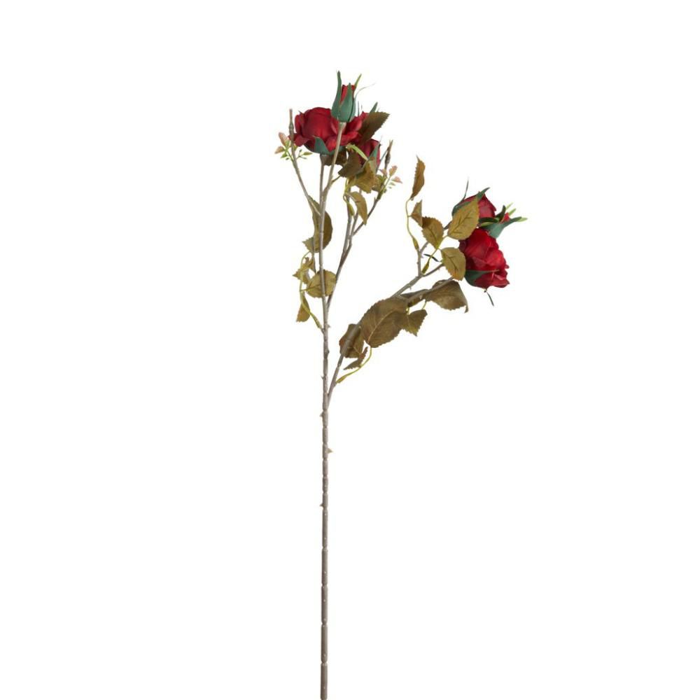 ROSA ASHLEY RAMO CM.62 ROSSO