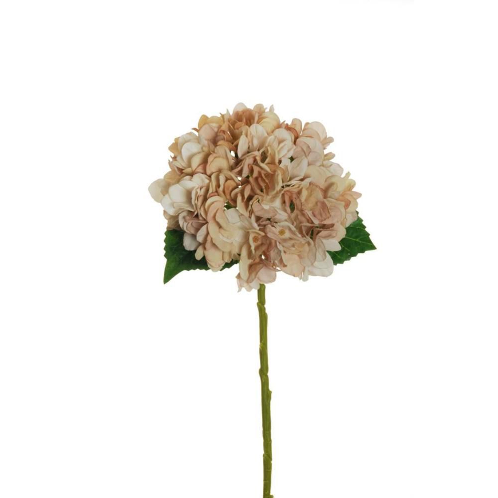HYDRANGEA SPRAY 3F CM.50 CREMA/MARRONE CHIARO