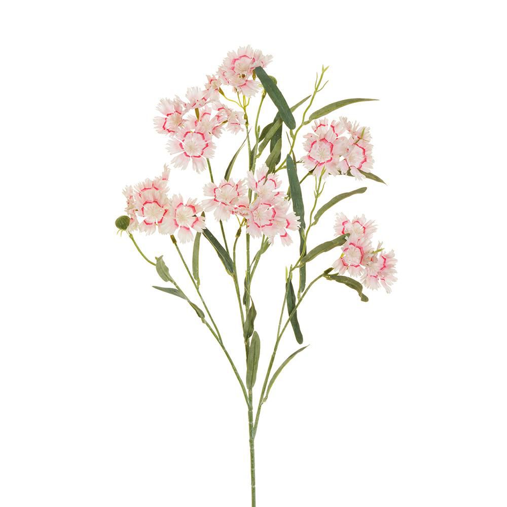 DIANTHUS CHINENSIS SPRAY 6F CM.73 ROSA