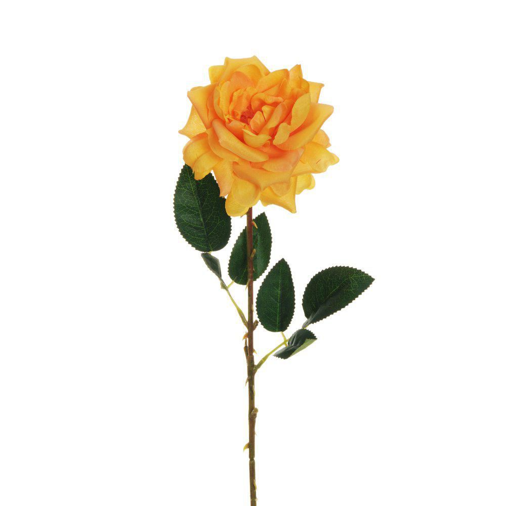 ROSA WILD CM.62 ARANCIONE