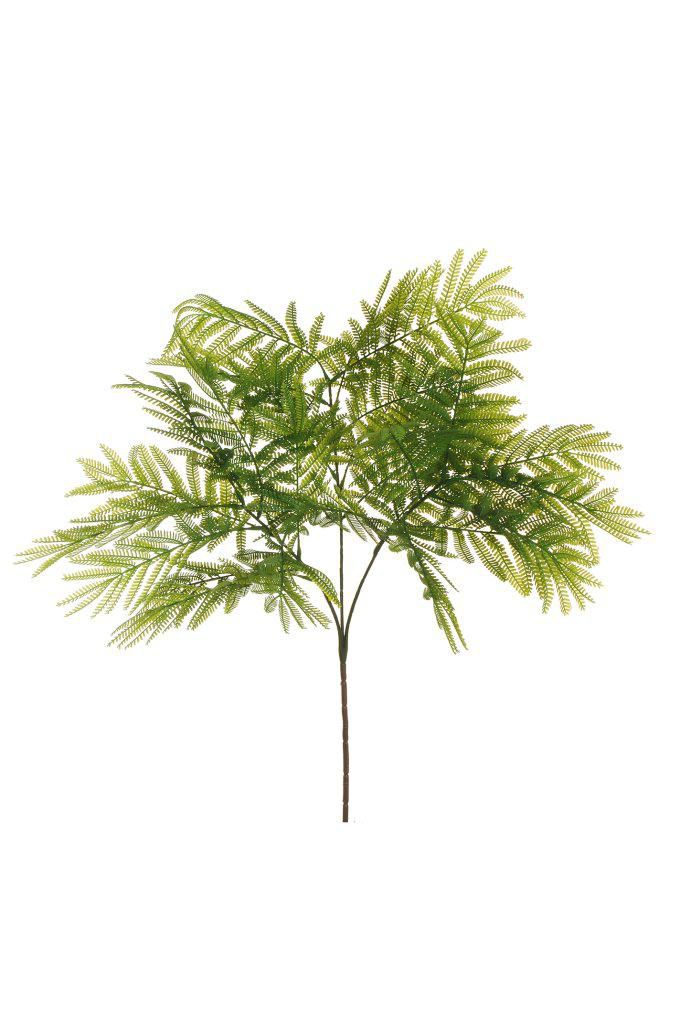 ACACIA SOFT SPRAY 3X CM.80 VERDE