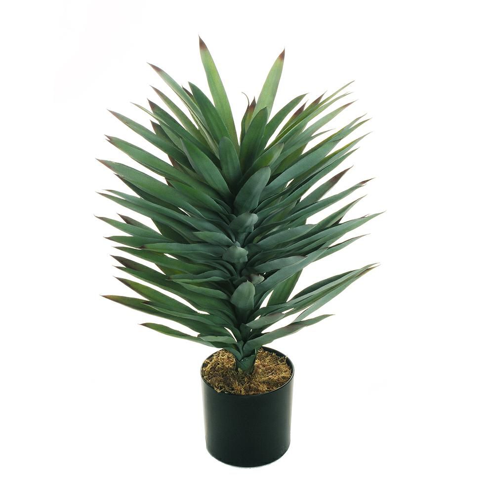 AGAVE PIANTA C/VASO 102F. D.20 CM H.85 CM VERDE/BURGUNDY
