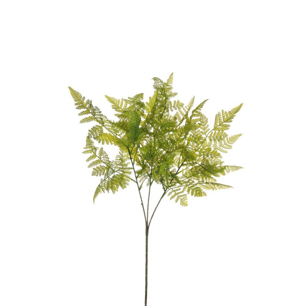 FELCE COSTA RICA BUSH 3X CM.82 VERDE