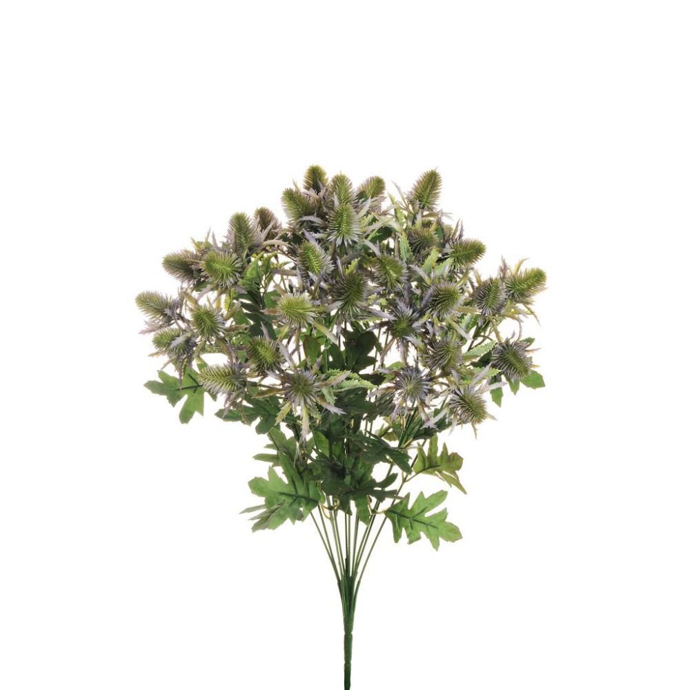 ERYNGIUM BUSH 12X CM.53BLU