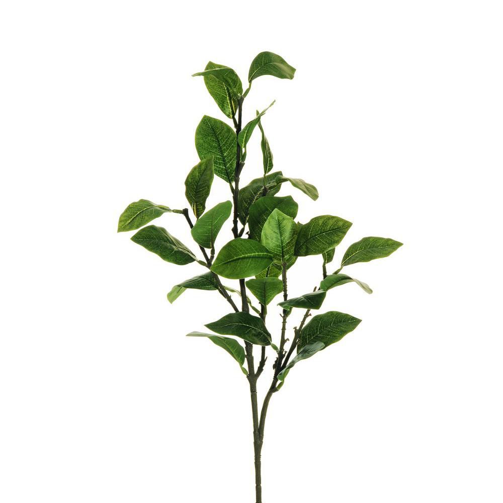 LIMONE RAMO C/28 FOGLIEREAL TOUCH CM.65 VERDE